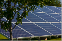 Distributing Renewable Energy Sources in Mexico
